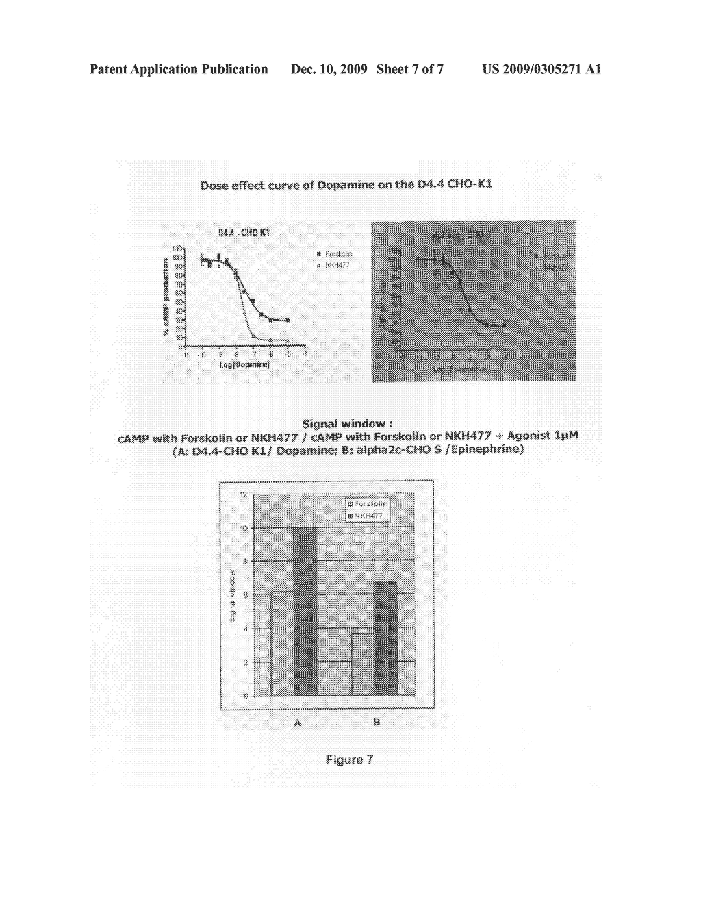 In Vitro Assay Based on Camp Levels Modulated by Gi-Coupled Receptors - diagram, schematic, and image 08