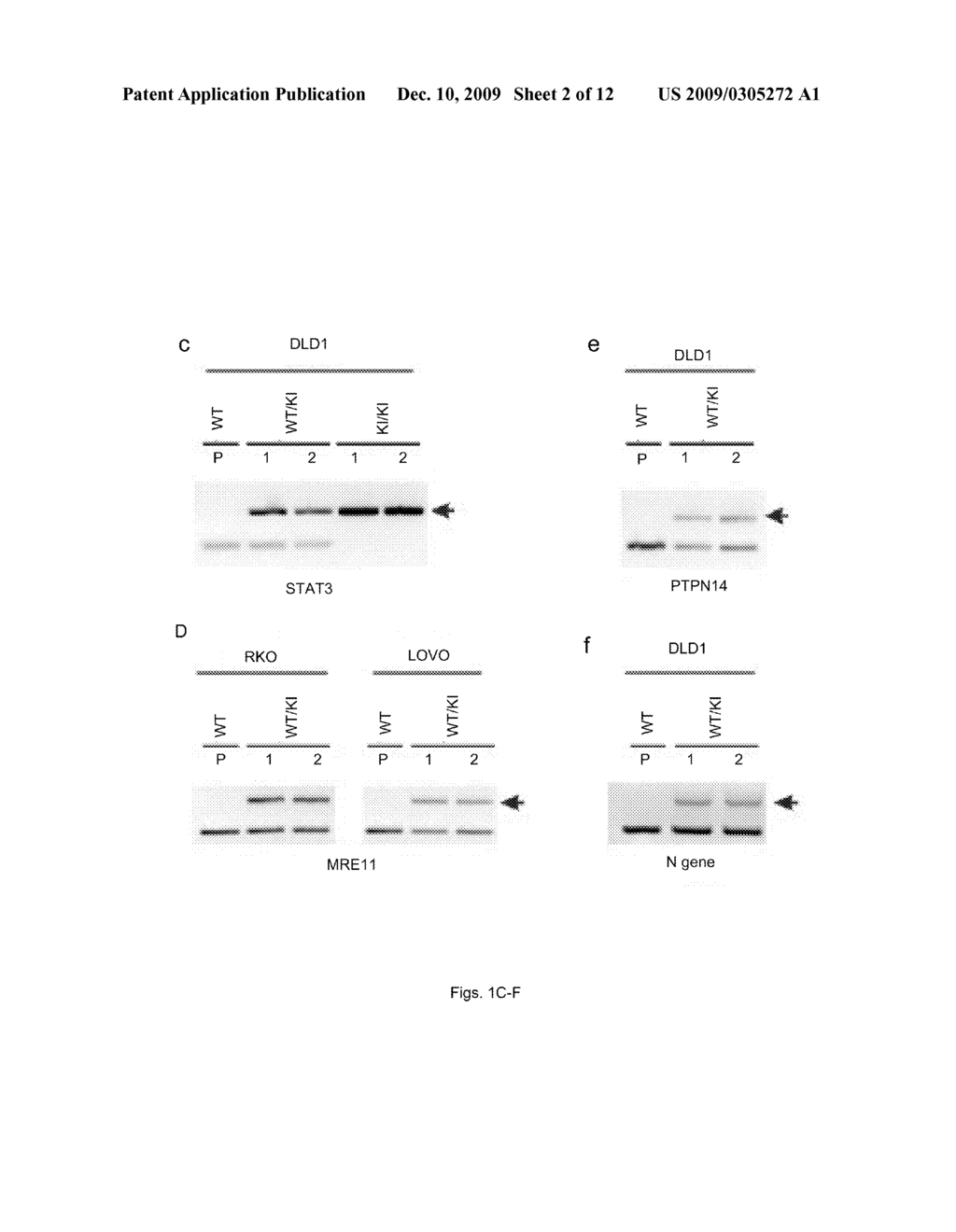 METHOD OF CHARACTERIZING ENDOGENOUS POLYNUCLEOTIDE-POLYPEPTIDE INTERACTIONS - diagram, schematic, and image 03