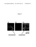 NANONOZZLE DEVICE ARRAYS: THEIR PREPARATION AND USE FOR MACROMOLECULAR ANALYSIS diagram and image