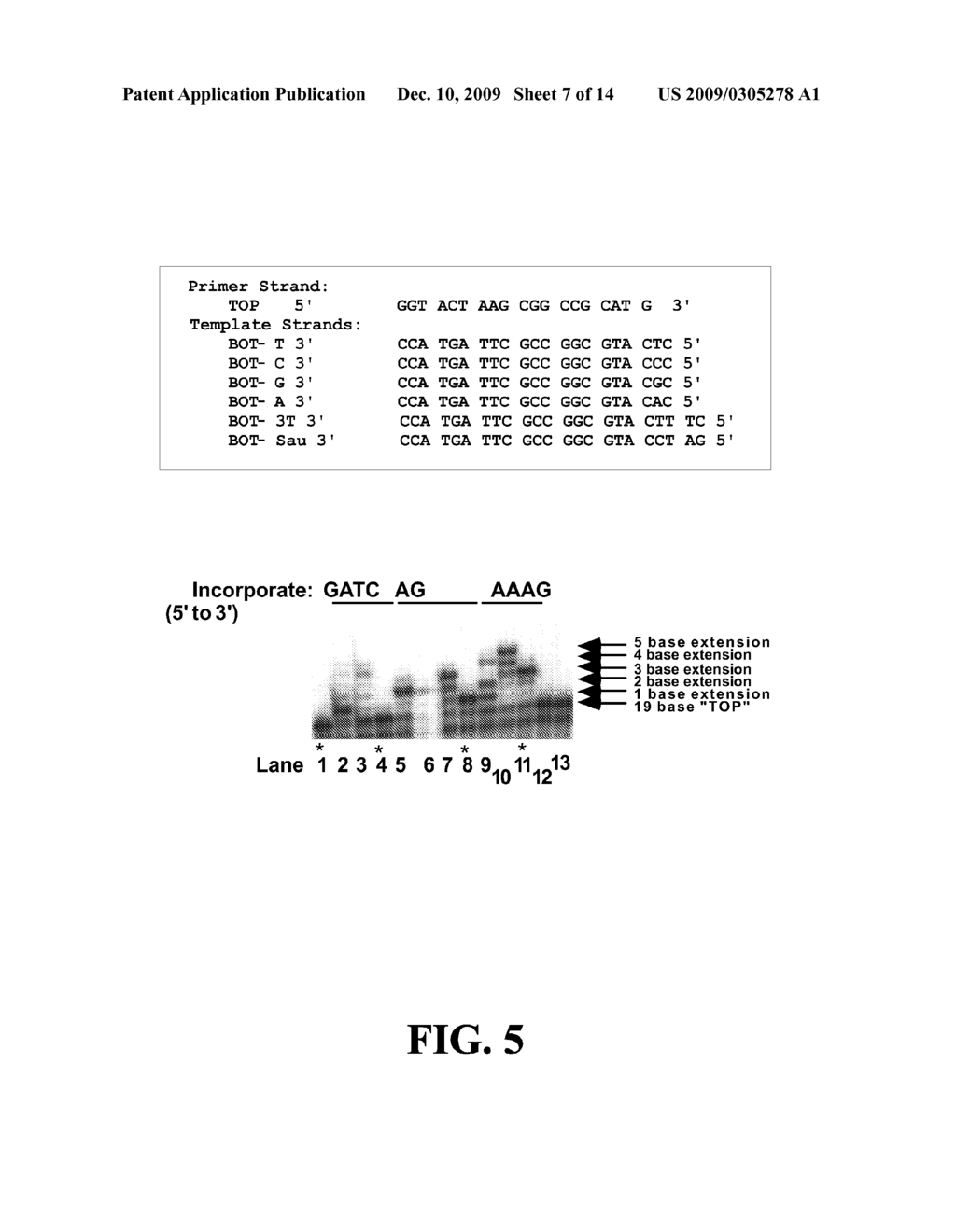 SEQUENCE DETERMINATION IN CONFINED REGIONS - diagram, schematic, and image 08