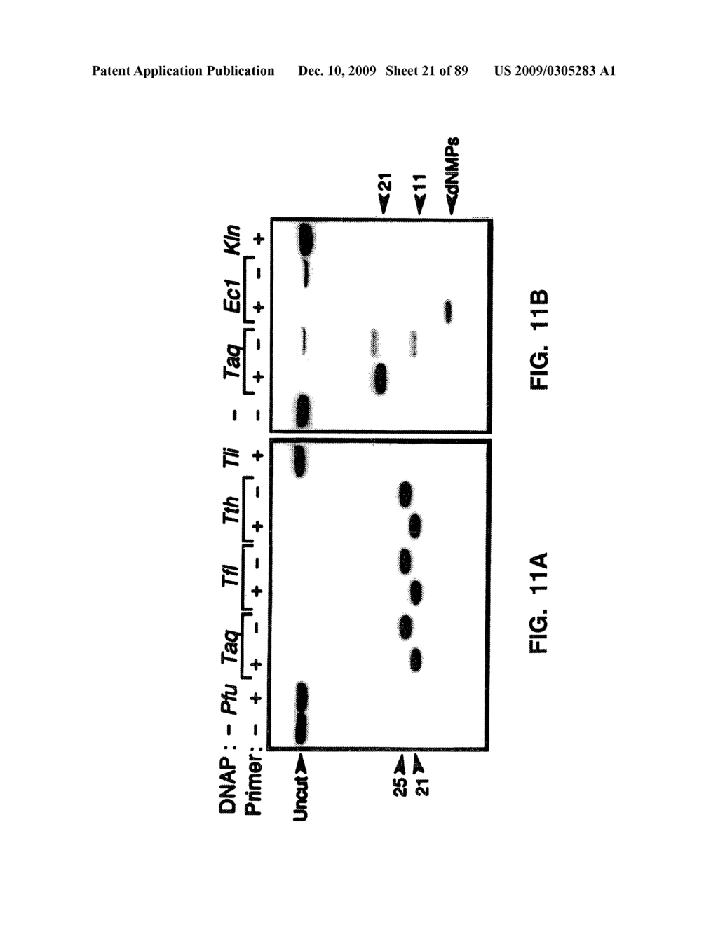 CLEAVAGE OF NUCLEIC ACIDS - diagram, schematic, and image 22