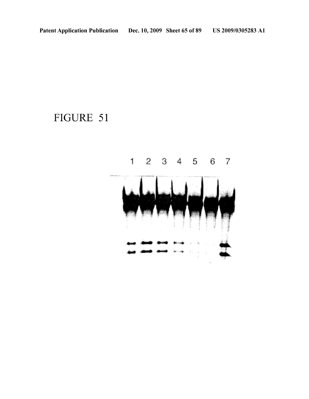 CLEAVAGE OF NUCLEIC ACIDS - diagram, schematic, and image 66