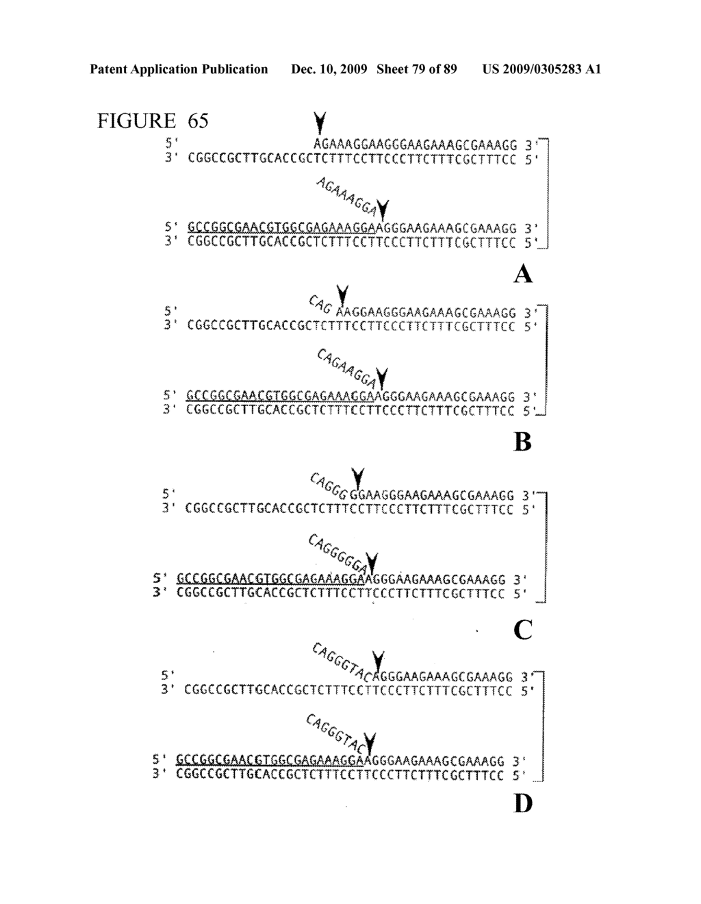 CLEAVAGE OF NUCLEIC ACIDS - diagram, schematic, and image 80