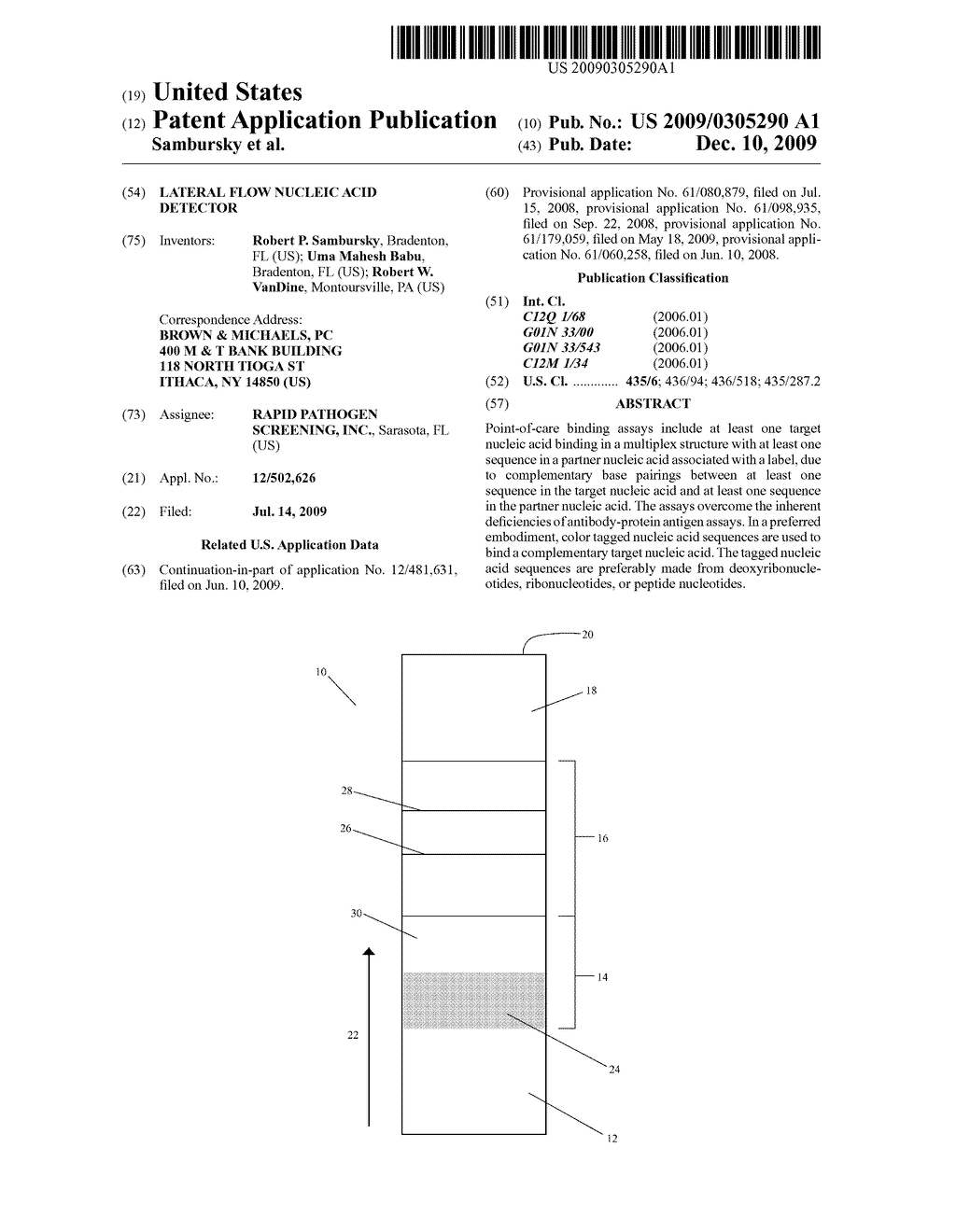 LATERAL FLOW NUCLEIC ACID DETECTOR - diagram, schematic, and image 01