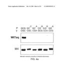 DNA POLYMERASE diagram and image