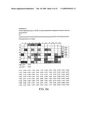 DNA POLYMERASE diagram and image