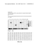 DNA POLYMERASE diagram and image