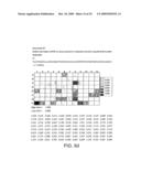 DNA POLYMERASE diagram and image