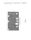 DNA POLYMERASE diagram and image