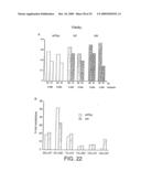 DNA POLYMERASE diagram and image