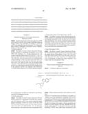 DNA POLYMERASE diagram and image