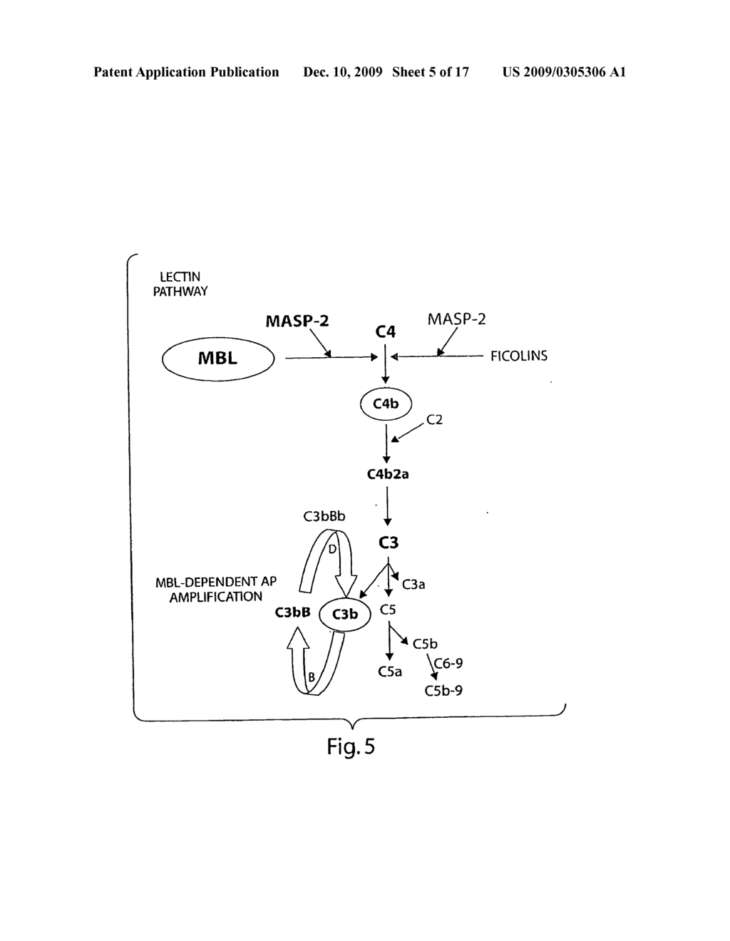 Lectin Complement Pathway Assays and Related Compositions and Methods - diagram, schematic, and image 06