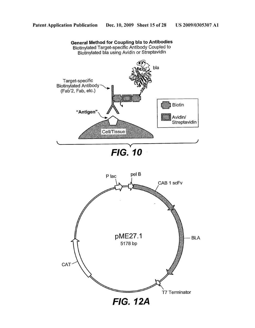 Methods for detecting targets - diagram, schematic, and image 16