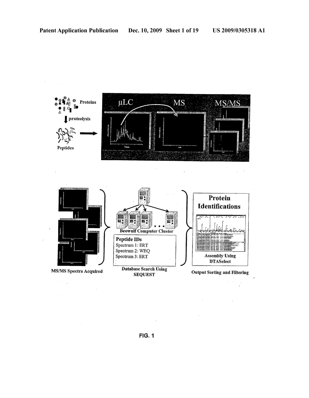 Diagnostic Tests of Substance Use Disorders - diagram, schematic, and image 02