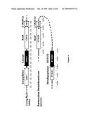 Polypeptides With Laccase Activity diagram and image