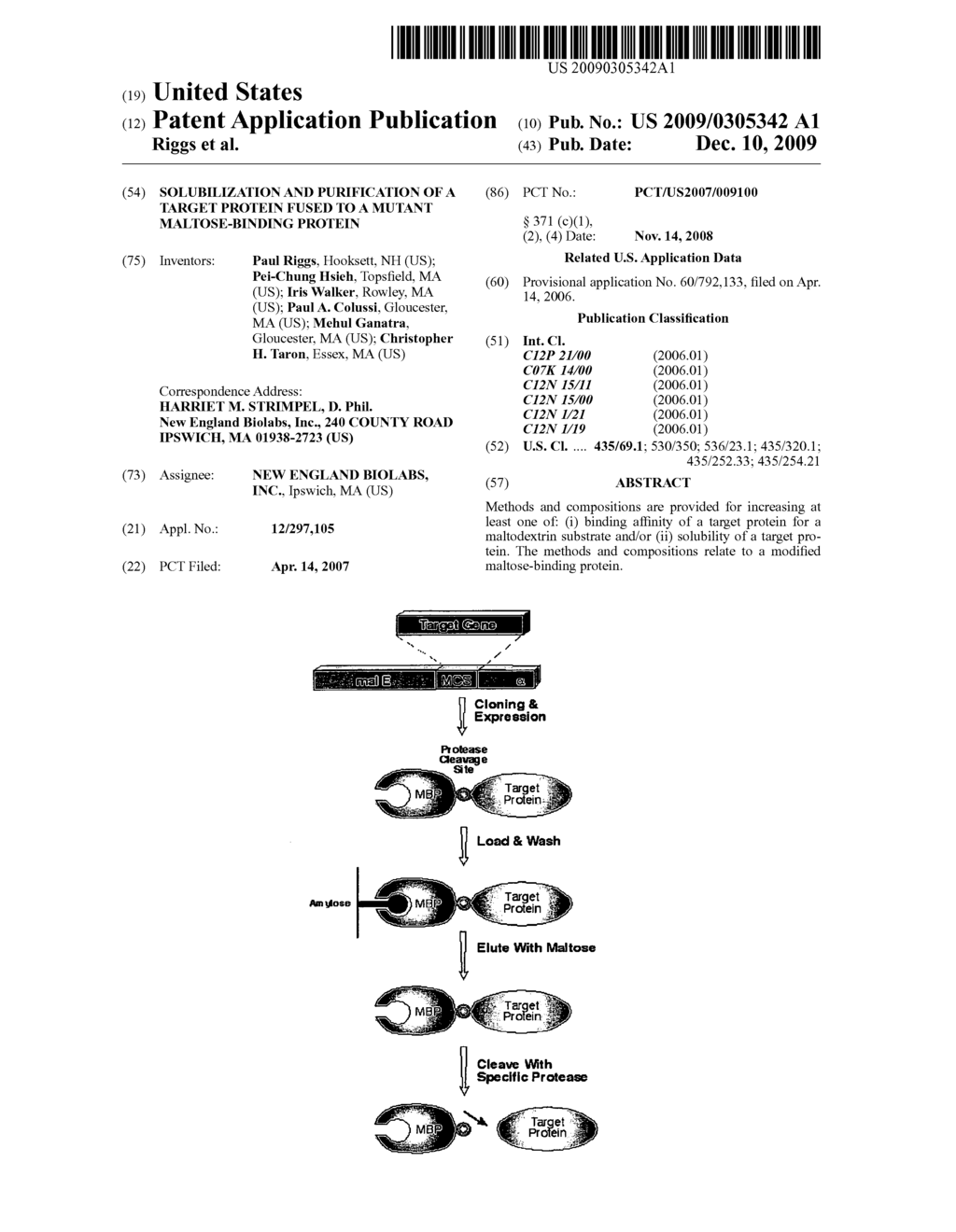 Solubilization and Purification of a Target Protein fused to a Mutant Maltose-Binding Protein - diagram, schematic, and image 01