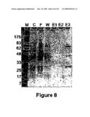 Solubilization and Purification of a Target Protein fused to a Mutant Maltose-Binding Protein diagram and image