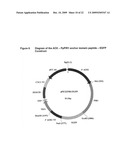 Pichia Pastoris P1R1 Secretion Signal Peptide for Recombinant Protein Expression and Pichia Pastoris P1R1 and P1R2 Anchor Domain Peptides for Recombinant Surface Display diagram and image