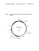 Pichia Pastoris P1R1 Secretion Signal Peptide for Recombinant Protein Expression and Pichia Pastoris P1R1 and P1R2 Anchor Domain Peptides for Recombinant Surface Display diagram and image