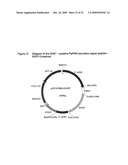 Pichia Pastoris P1R1 Secretion Signal Peptide for Recombinant Protein Expression and Pichia Pastoris P1R1 and P1R2 Anchor Domain Peptides for Recombinant Surface Display diagram and image