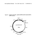 Pichia Pastoris P1R1 Secretion Signal Peptide for Recombinant Protein Expression and Pichia Pastoris P1R1 and P1R2 Anchor Domain Peptides for Recombinant Surface Display diagram and image