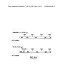 Gene Differentially Expressed in Breast and Bladder Cancer and Encoded Polypeptides diagram and image