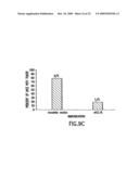 Gene Differentially Expressed in Breast and Bladder Cancer and Encoded Polypeptides diagram and image