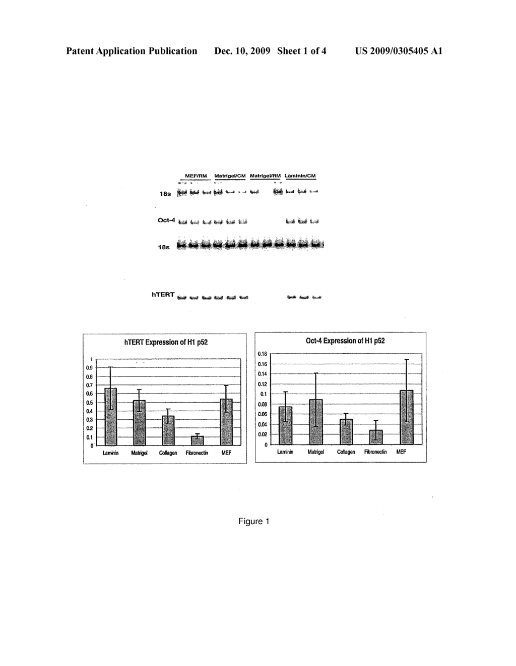 USE OF TGF BETA SUPERFAMILY ANTAGONISTS AND NEUROTROPHINS TO MAKE NEURONS FROM EMBRYONIC STEM CELLS - diagram, schematic, and image 02