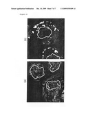 Liposome Capable of Effective Delivery of Given Substance Into Nucleus diagram and image