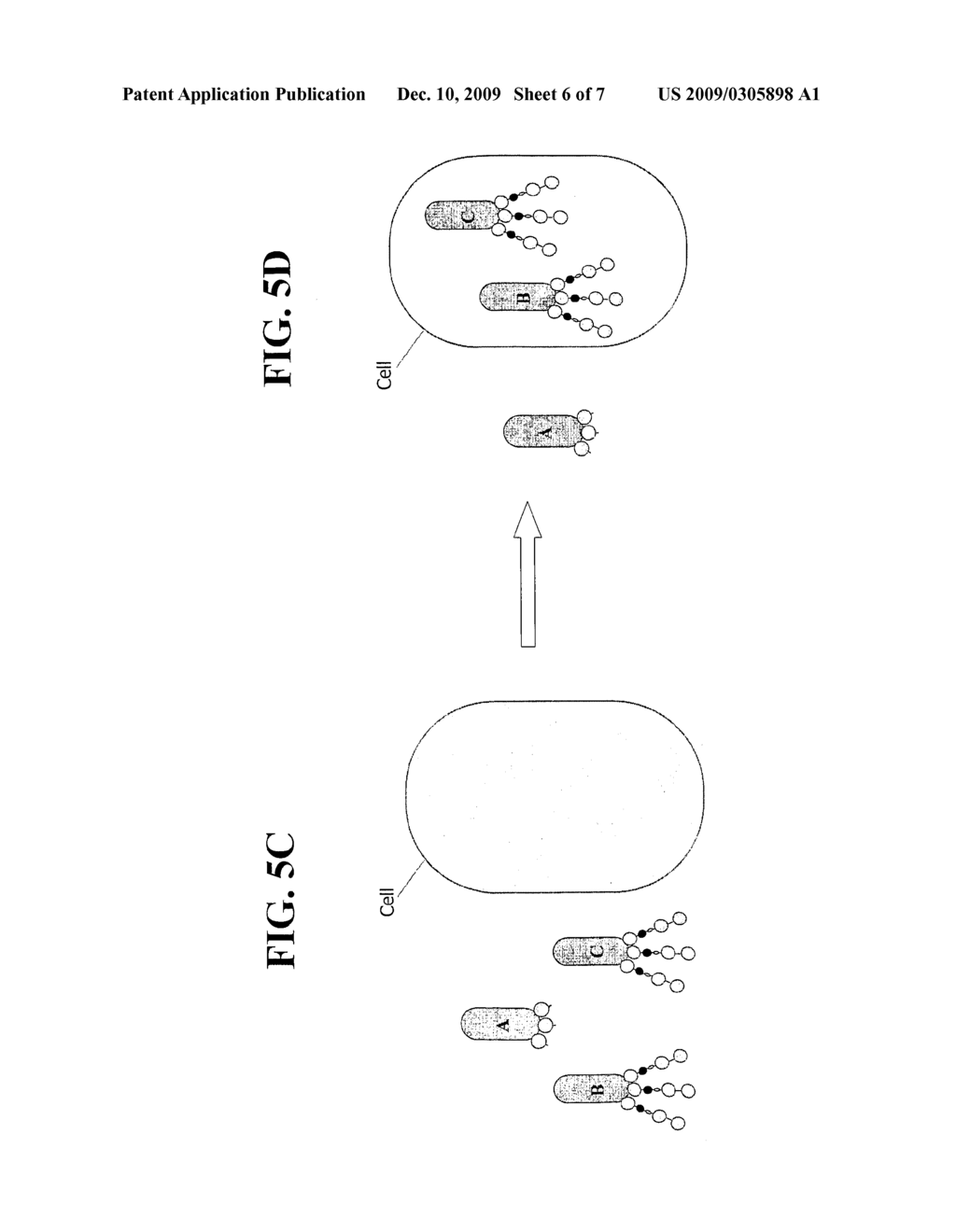 Methods and Compositions for Identifying a Peptide Having an Intermolecular Interaction With a Target of Interest - diagram, schematic, and image 07