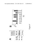 APOPTOSIS MODULATOR BCL-B AND METHODS FOR MAKING AND USING SAME diagram and image