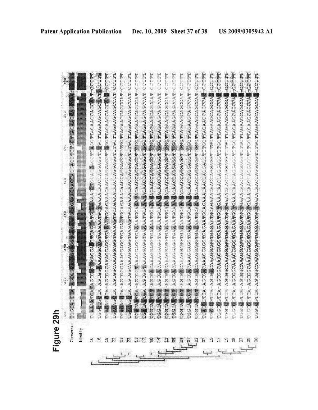 Soaps Produced from Oil-Bearing Microbial Biomass and Oils - diagram, schematic, and image 38