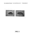 Methods and Compositions Related to TR4 diagram and image