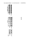 Methods and Compositions Related to TR4 diagram and image