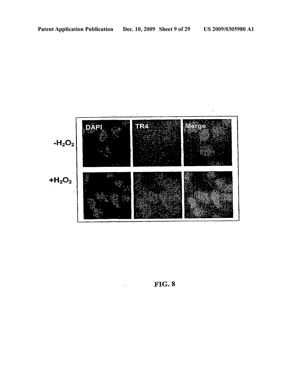 Methods and Compositions Related to TR4 - diagram, schematic, and image 10