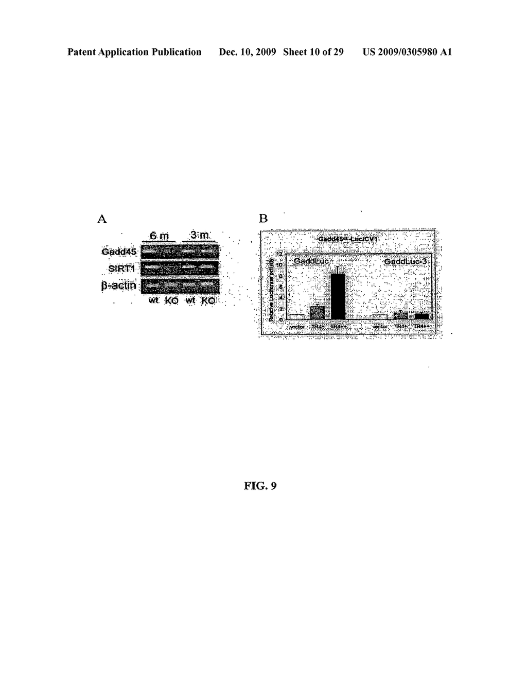 Methods and Compositions Related to TR4 - diagram, schematic, and image 11