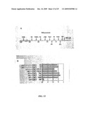 Methods and Compositions Related to TR4 diagram and image