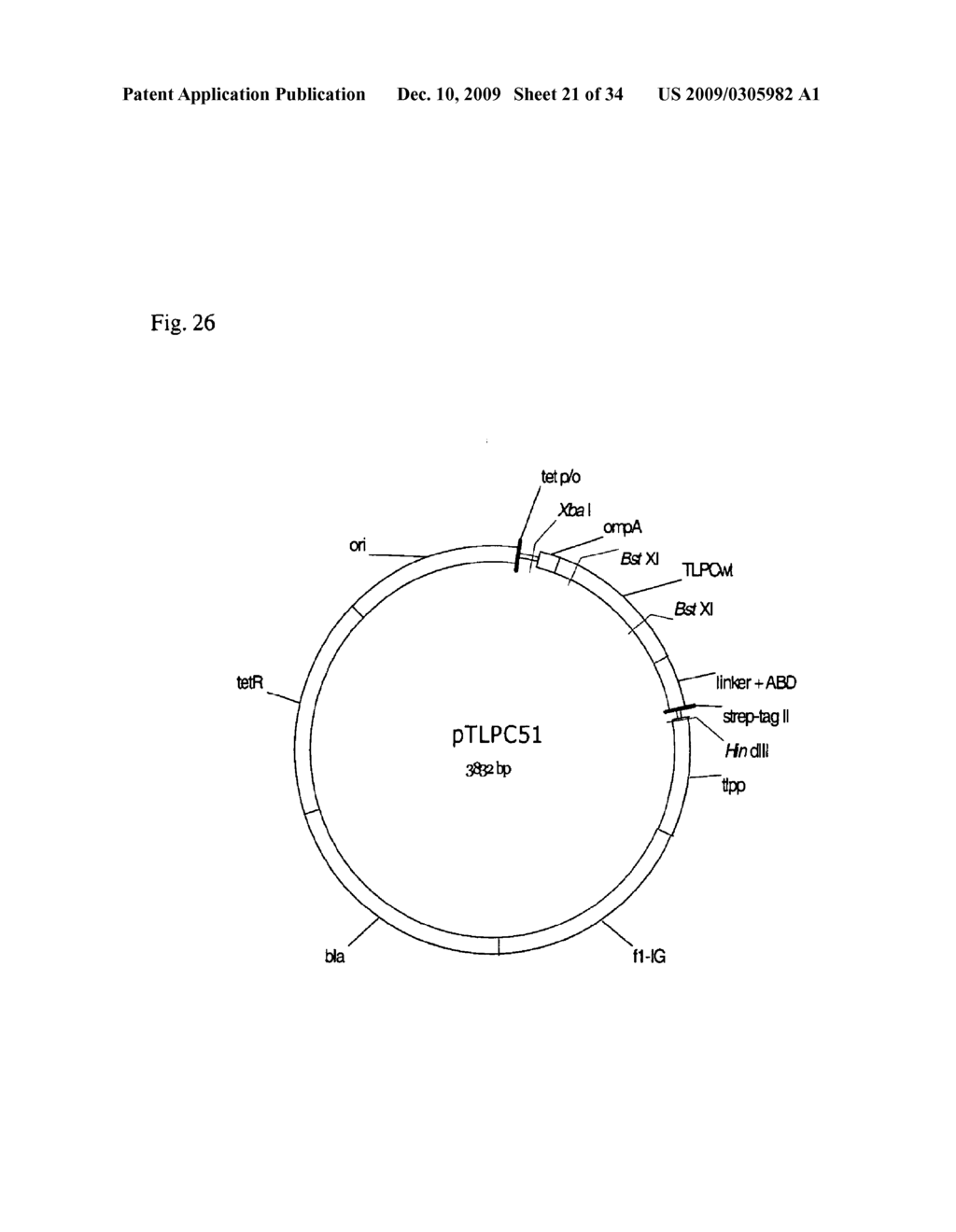 MUTEINS OF TEAR LIPOCALIN AND METHODS FOR OBTAINING THE SAME - diagram, schematic, and image 22