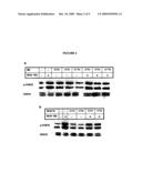 Compounds Modulating Vegf Receptor and Uses Thereof diagram and image