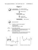 RNA INTERFERENCE MEDIATED INHIBITION OF HEPATITIS C VIRUS (HCV) EXPRESSION USING SHORT INTERFERING NUCLEIC ACID (siNA) diagram and image