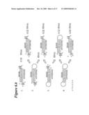 RNA INTERFERENCE MEDIATED INHIBITION OF HEPATITIS C VIRUS (HCV) EXPRESSION USING SHORT INTERFERING NUCLEIC ACID (siNA) diagram and image