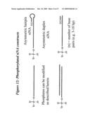 RNA INTERFERENCE MEDIATED INHIBITION OF HEPATITIS C VIRUS (HCV) EXPRESSION USING SHORT INTERFERING NUCLEIC ACID (siNA) diagram and image