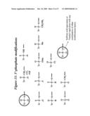 RNA INTERFERENCE MEDIATED INHIBITION OF HEPATITIS C VIRUS (HCV) EXPRESSION USING SHORT INTERFERING NUCLEIC ACID (siNA) diagram and image