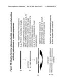 RNA INTERFERENCE MEDIATED INHIBITION OF HEPATITIS C VIRUS (HCV) EXPRESSION USING SHORT INTERFERING NUCLEIC ACID (siNA) diagram and image