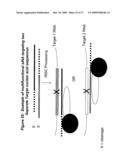 RNA INTERFERENCE MEDIATED INHIBITION OF HEPATITIS C VIRUS (HCV) EXPRESSION USING SHORT INTERFERING NUCLEIC ACID (siNA) diagram and image
