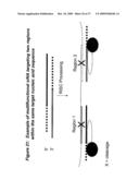 RNA INTERFERENCE MEDIATED INHIBITION OF HEPATITIS C VIRUS (HCV) EXPRESSION USING SHORT INTERFERING NUCLEIC ACID (siNA) diagram and image