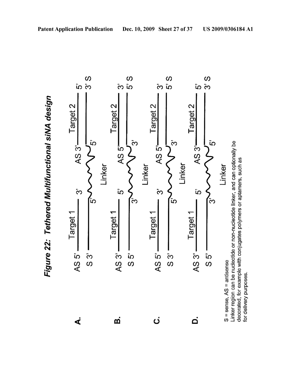 RNA INTERFERENCE MEDIATED INHIBITION OF HEPATITIS C VIRUS (HCV) EXPRESSION USING SHORT INTERFERING NUCLEIC ACID (siNA) - diagram, schematic, and image 29