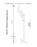 RNA INTERFERENCE MEDIATED INHIBITION OF HEPATITIS C VIRUS (HCV) EXPRESSION USING SHORT INTERFERING NUCLEIC ACID (siNA) diagram and image