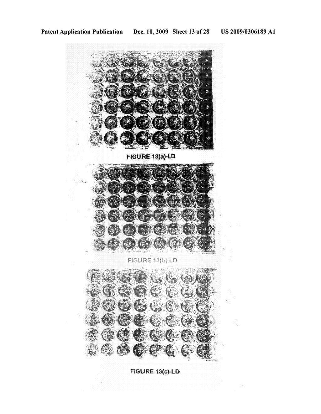 Methods for Controlling Pests Using Rnai - diagram, schematic, and image 14