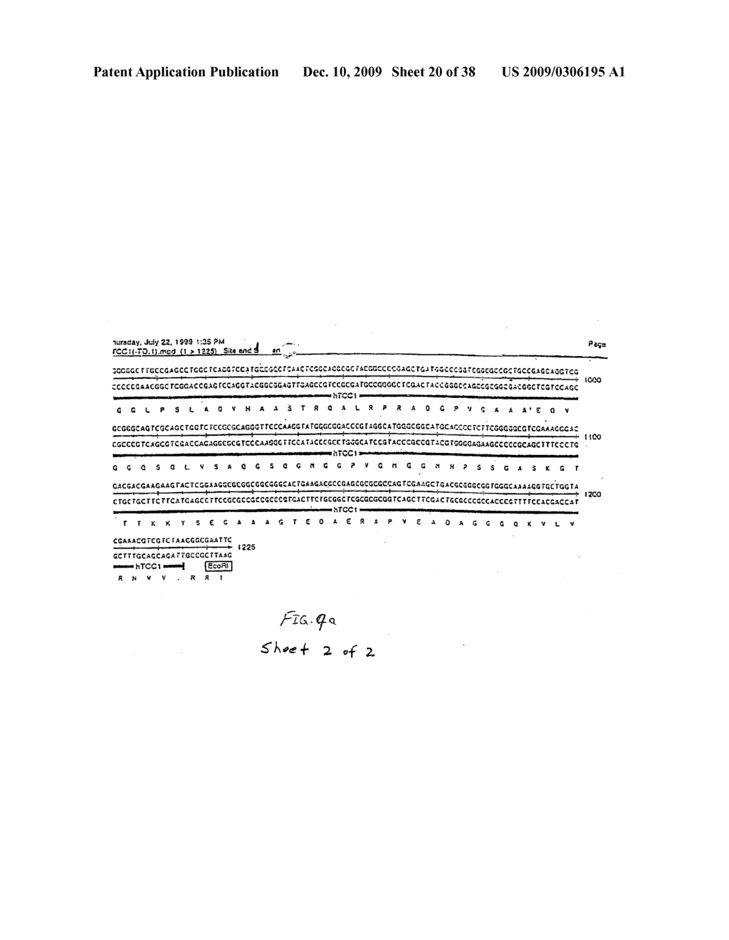 Fusion Proteins of Mycobacterium Tuberculosis - diagram, schematic, and image 21